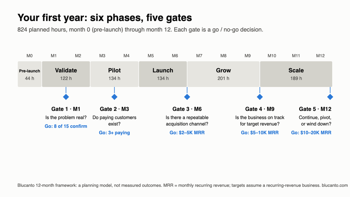 Twelve-month roadmap showing phases, work streams and five go/no-go gates
