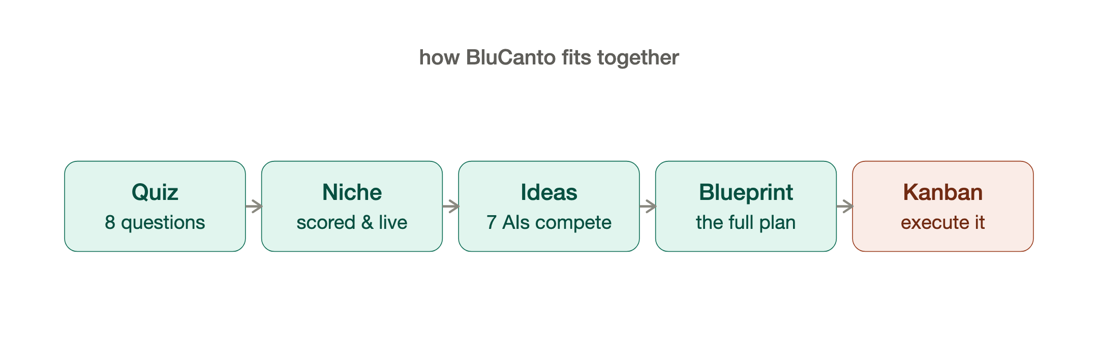 How BluCanto fits together
